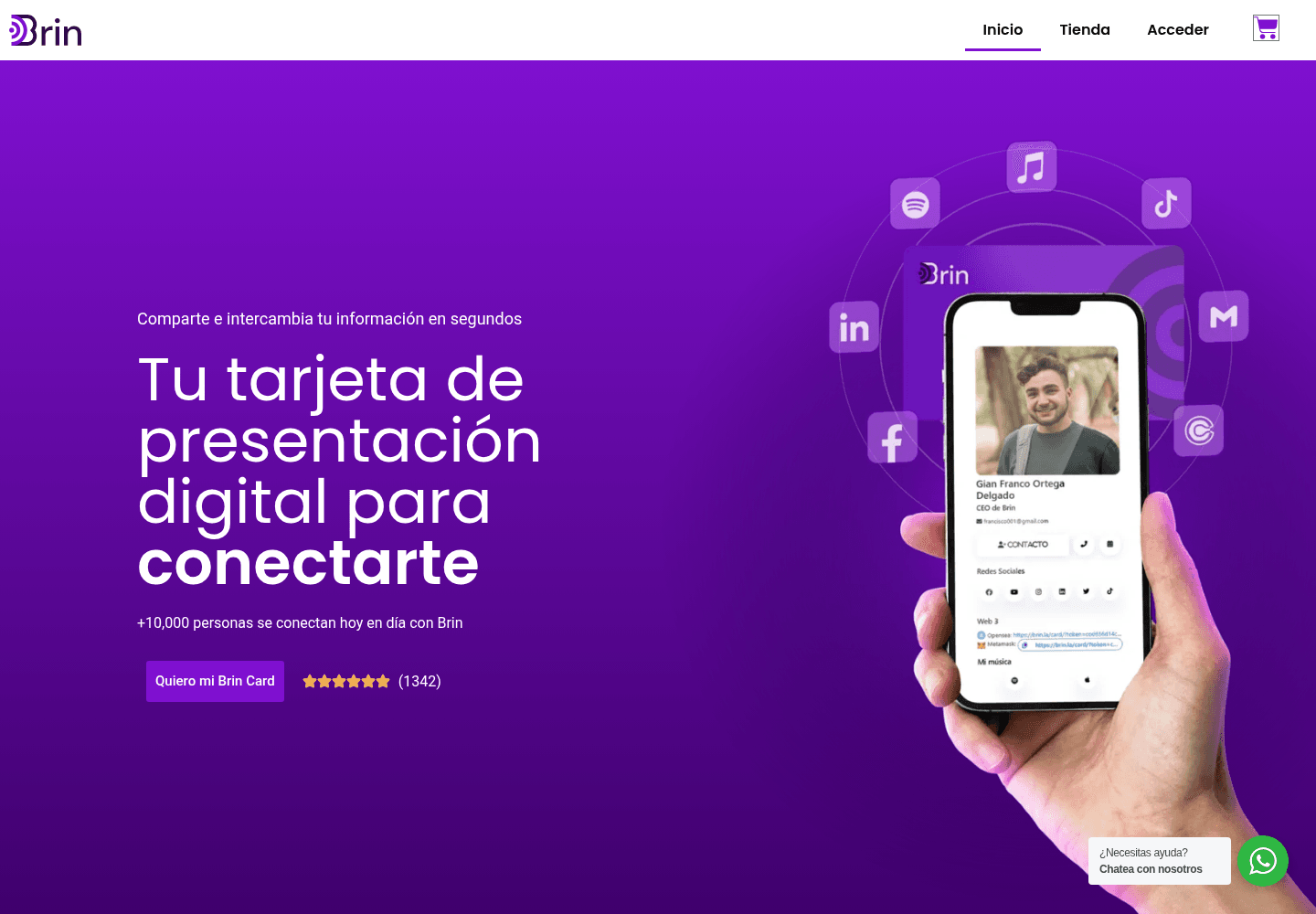 Captura del homepage de Brin